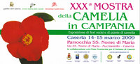 camelia in campania invito.jpg